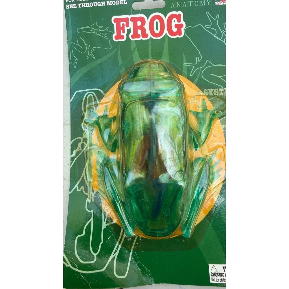 Educational‎ Frog Anatomy See Through Model Translucent Green Biology Toy STEM